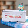 Mini Iron Style Storage Box 22