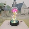 Decorative Luminous Rose Accent 8