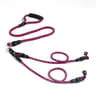 Heavy Duty Triple Dog Multi Lead System 7