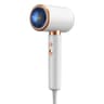 Professional 2000W Negative Ionic Salon Hair Dryer 5