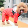 Professional Weatherproof Pet Performance Jumpsuit 9