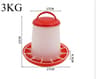 Heavy Duty Automatic Poultry Feeding System 7
