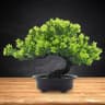 Traditional Japanese Pine Artificial Bonsai Tree 12