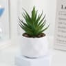 Evergreen Architectural Simulation Succulent Bonsai 8