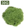 Botanical Architectural Eternal Life Simulated Moss 6