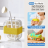 One Click Ice Cube Bottle With Silicone Mold And Straw 9