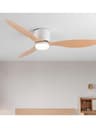 LED Ceiling Fan With Remote Color DC Motor Modern Decorative Light 1