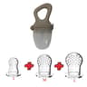 5in1 Baby Fruit Feeder  Teething Pacifier Set  Silicone Mesh Food Feeder With Interchangeable Nippl 9