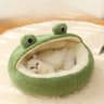 Winter Warm Plush Pet Nest Bed  FrogShaped SemiEnclosed Cat  Dog House For Puppies And Kittens 14