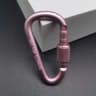 DShape Carabiner Clip MultiColor  Safety Buckle Keychain Hook For Camping Hiking Travel  Outdoor Ge 12