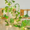 LED Ivy Leaf String Lights  Battery Powered Artificial Green Vine Fairy Lights For Room Decor 8