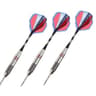 Professional Steel Tip Dart Set  Precision Darts With Aluminum Shafts  Dart Flights 6