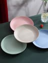 4Piece Wheat Straw Dinner Plates Set  Lightweight Unbreakable Reusable Plates Microwave  Dishwasher 6