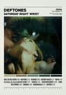 Deftones Album Cover Canvas Wall Art  Around The Fur  Saturday Night Wrist Music Poster 6