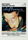 Deftones Album Cover Canvas Wall Art  Around The Fur  Saturday Night Wrist Music Poster 14