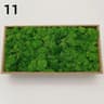 Premium Preserved Moss Decor  Realistic Artificial Green Moss For DIY Crafts Terrariums  Home Styli 21
