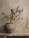 Retro Olive Tree  Lemon Canvas Poster  Elegant Botanical Vase Wall Art For Living Room  Bedroom Dec 17