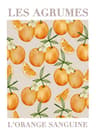 Retro Lemon Garden Canvas Wall Art  Fresh Citrus Olive Tree Prints For Summer Home  Office Decor 13