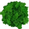 Artificial Reindeer Moss Decor  Faux Green Moss For Crafts Potted Plants  Wall Art 21