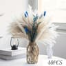 Natural Dried Bunny Tail Pampas Grass Bouquet  Fluffy Blue Floral Stems For Elegant Home  Event Dec 12