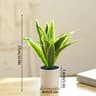 Artificial Bonsai Tree Potted Plant  Realistic Mini Greenery Desk  Home Decor 20