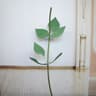 63Inch Floor Standing Flower Pole Base  Giant Paper Flower Display Stand For Weddings  Events 5