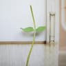 63Inch Floor Standing Flower Pole Base  Giant Paper Flower Display Stand For Weddings  Events 24