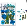Premium Natural Dried Flower Resin Fillers  Real Pressed Flowers For Nail Art Jewelry  DIY Crafts 10
