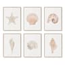 Modern Watercolor Sea Shell  Starfish Canvas Wall Art  Coastal Ocean Print For Living Room Decor 12