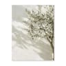 Mediterranean Olive Tree Canvas Wall Art  Countryside Landscape Poster For Living Room  Bedroom Dec 7