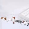 5Pack Kawaii Healing Cat Screen Sitter Figurines  Cute Monitor Desk Companion Decor 7