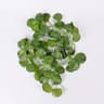 Artificial Green Ivy LED Garland  Hanging Leaf Light String For Room  Wedding Decor 13