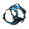 Premium Adjustable Dog Harness Vest Set With Leather Leash  Collar  NoPull Puppy Walking Gear For S 7