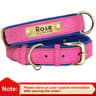 Personalized PU Leather Dog Collar With Engraved Nameplate  Soft Padded Adjustable Collar For Small 13