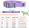 Adjustable Nylon Pet Collar  Durable Lightweight Neck Band For Small  Medium Dogs Puppies And Cats 12