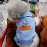 Denim Dog Jacket Harness Vest With DRing  Stylish Spring Puppy Outfit For Small  Medium Dogs 6