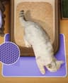 Waterproof DoubleLayer Cat Litter Mat  NonSlip Litter Trapping Pad For Cleaner Floors 11