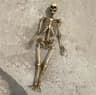Mini Skeleton Skull Model  HandPainted Resin Halloween Decor For Dollhouse Terrarium  Fish Tank 9