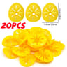 Reusable Bottle Wasp Trap Funnel  Plastic Insect Catcher For Wasps Hornets Yellow Jackets  Fruit Fl 8