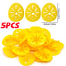 Reusable Bottle Wasp Trap Funnel  Plastic Insect Catcher For Wasps Hornets Yellow Jackets  Fruit Fl 6