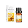 Flower  Fruit Fragrance Oil  WaterSoluble Aromatherapy Oil For Humidifier Diffuser Burner  Fragranc 18