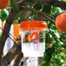 Clear Outdoor Insect Trap  Reusable Plastic Fruit Fly  Wasp Catcher With Lid For Garden Patio  Yard 7