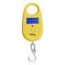 55 Lb Mini Digital Hanging Scale  018 Oz Precision LCD Fishing Luggage Pocket Weight Scale With Hoo 9