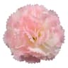 10pcs Artificial Carnation Flowers  Lifelike Silk Floral Bouquet For Weddings Home Parties  Mothers 8