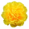 10pcs Artificial Carnation Flowers  Lifelike Silk Floral Bouquet For Weddings Home Parties  Mothers 12