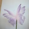 50cm 3D Simulation Butterfly  Large Hanging Gauze Decoration For Weddings Festivals  Outdoor Displa 11