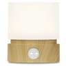 Minimalist Rotating LED Night Light  Table  Desk Lamp With Timer 15