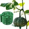 Garden Fruit Support Tray 11