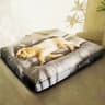 Warm Winter Dog Sofa Bed 8