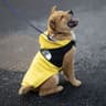 Summer Dog Shirt Lightweight Pet Apparel 2
